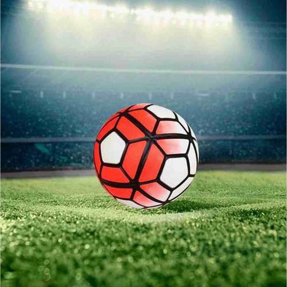 Futbol Topu Dikişli Meşin 220 GR