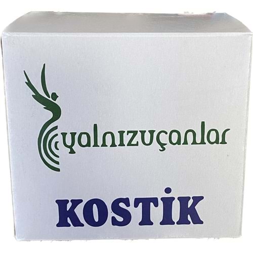 Kostik Kostik Toz Lavabo Açıcı 900 Gr