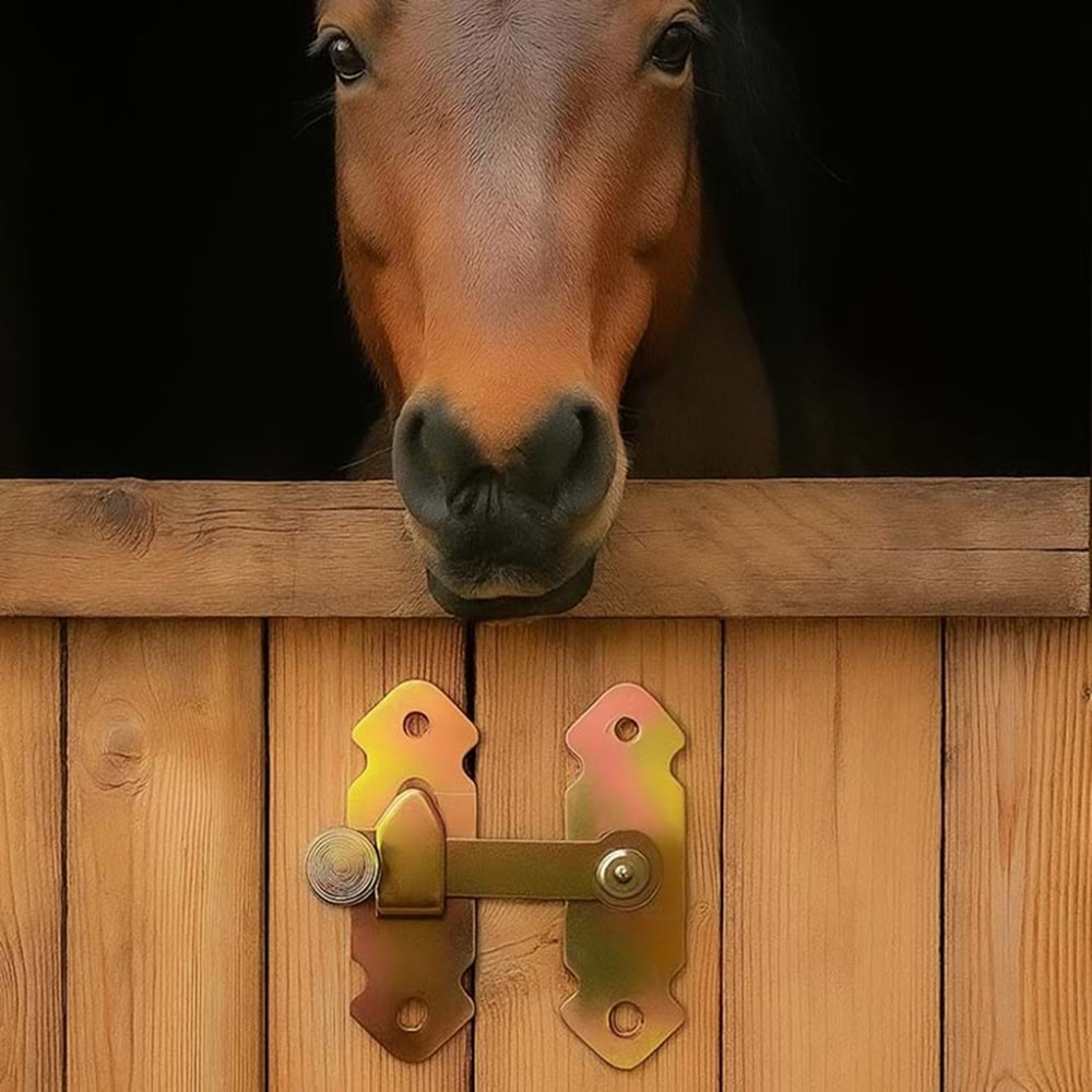 Ferforje Fransız Kilidi Jan Jan Bahçe Kapısı Mandalı Eskitme Jan Jan Kapı - Sandık - Kapak Mandalı Tırka