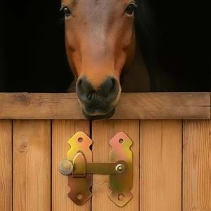 Ferforje Fransız Kilidi Jan Jan Bahçe Kapısı Mandalı Eskitme Jan Jan Kapı - Sandık - Kapak Mandalı Tırka