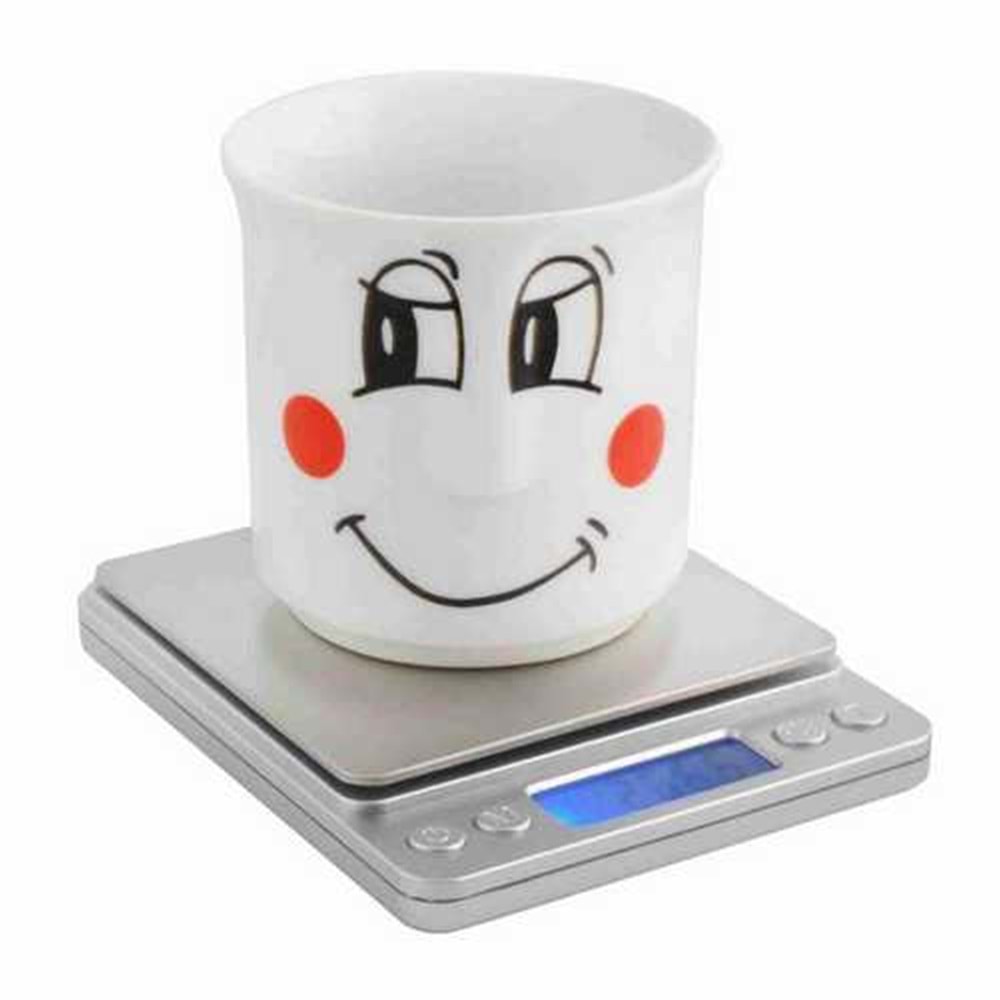 Hassas terazi 2 kg