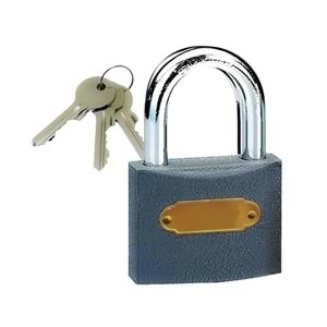 Asma Kilit Tudor Gri Kısa 25 Mm Asma Kilit