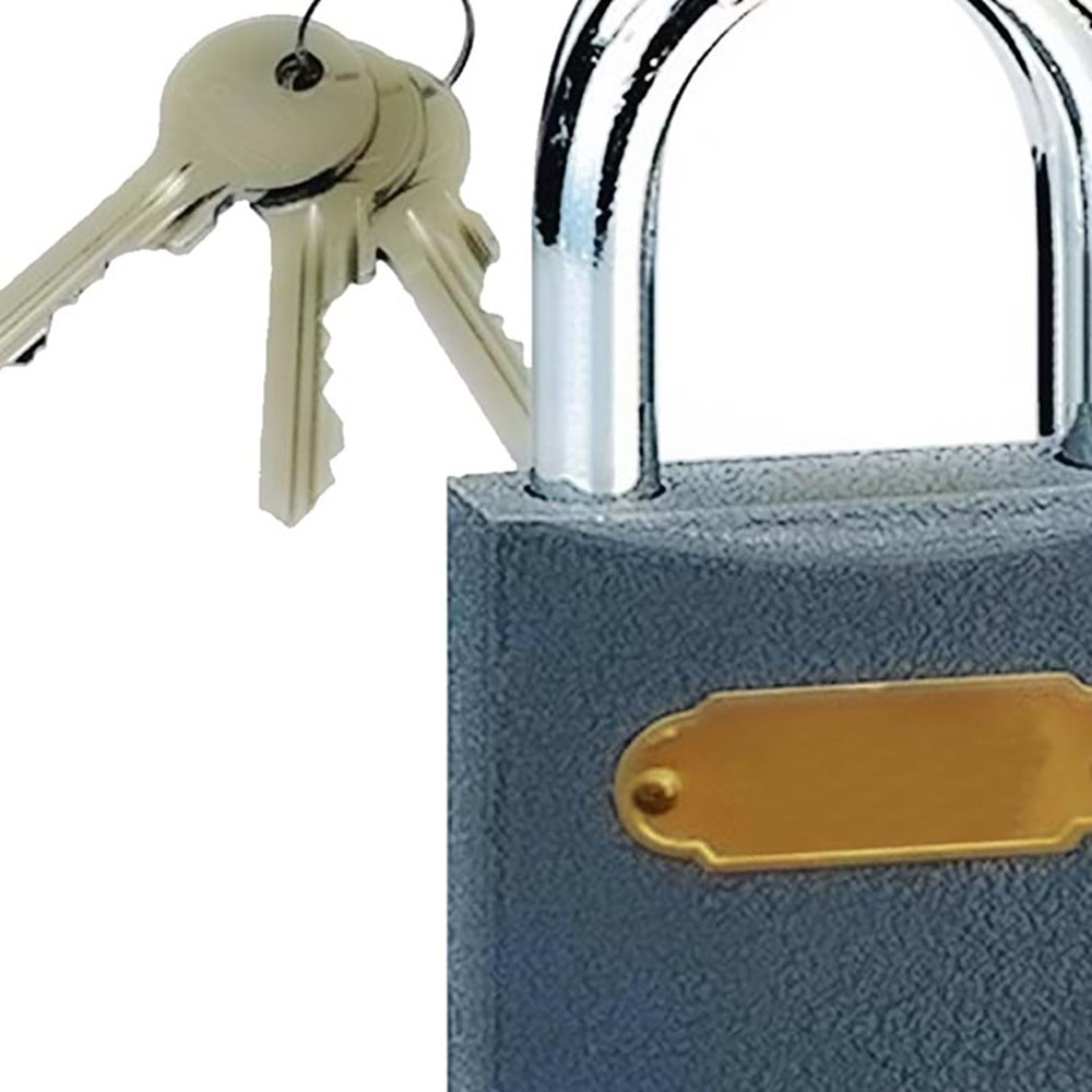 Asma Kilit Tudor Gri Kısa 25 Mm Asma Kilit